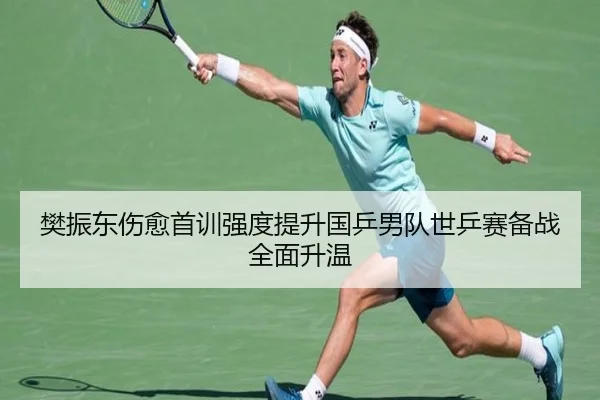 樊振东伤愈首训强度提升国乒男队世乒赛备战全面升温（StarryskySpor）